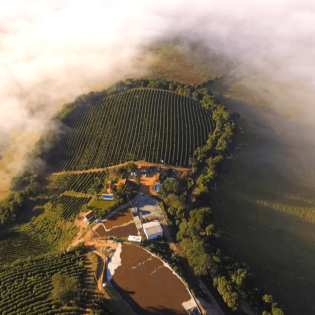 Vista aérea da fazenda Cambú Coffee com neblina — Serra da Mantiqueira, MG